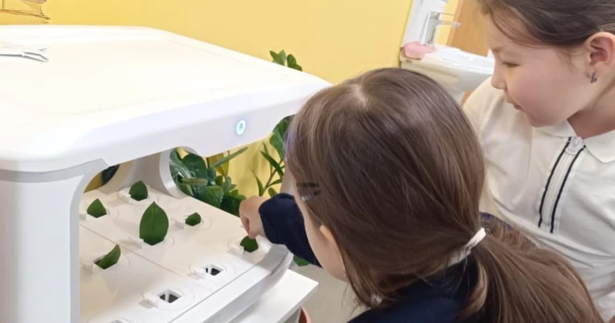 Астаналық оқушылар жылыжайда өсімдіктер өсіреді