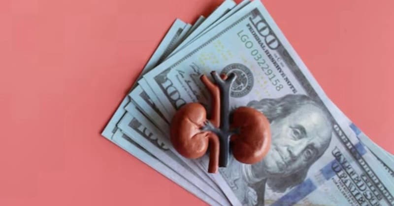 Түркістанда бүйрегін сатуға оқталған тұрғын ұсталды